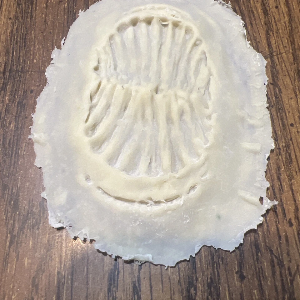 Aparato protésico de látex Bite Mark para SFX/Cosplay Foto 2 de 3