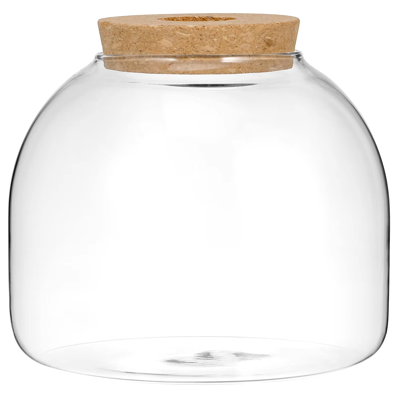 Canister Container Cork Glass Bottle Miniature Kits Small Fish Tank Jar