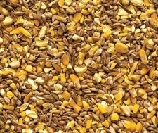 Scratch Grains Poultry Feed   Corn, Milo  Oats for Chickens, Ducks  Turkeys