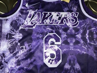 Lebron James LA Lakers Nike Select Jersey #6 Mens Large Stitched
