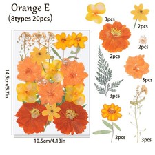 20PCS Real Pressed Dried flowers collection, Orange Dyed Daisy Flowers FCD505