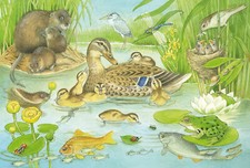 TIERFAMILIEN * ANIMAL FAMILY - Schmidt Kinder-Puzzle 56222 - 3 x 48 Teile Pcs.