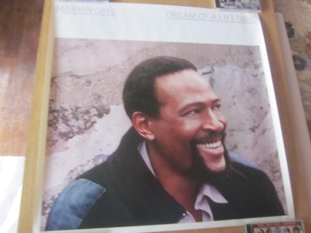 Marvin Gaye 1985 Dream of a Lifetime Promo Poster Gordon Banks "Sanctified Lady"