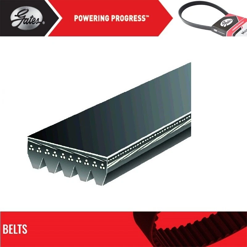 GATES OE Micro-V Belt for 1994-1995 BMW M3 L6-3.0L - Image 2 of 4