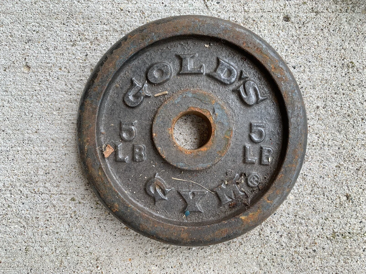 Gold's gym 2025 standard plate