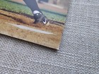 Picture 4 of 13