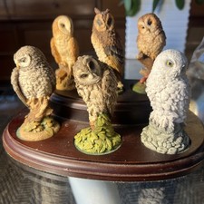 Royal Doulton 6x Owl Figurines + Wood Display Plinth -one owl very slight damage