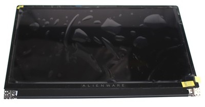 NEW Dell P9TCN Alienware x17 R1 / R2 17.3''  UHD 3840x2160 120Hz LCD Assembly