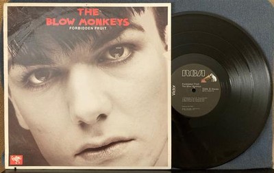 BLOW MONKEYS FORBIDDEN FRUIT~1985 AUDIOPHILE 12'' EP/SINGLE LP~QUIEX VIRGIN VINYL