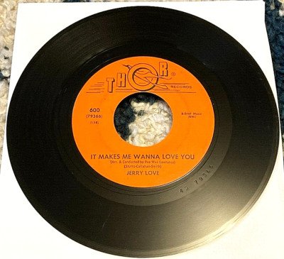 Jerry Love: It Makes Me Wanna Love You/Kids on My Street 45 Thor teen VG HEAR