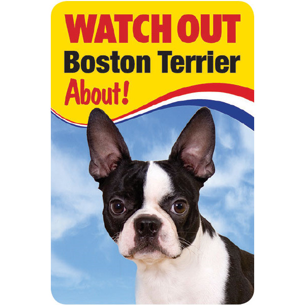 Boston Terrier Watch Out Boston Terrier About sign Dog security sign Bostons dog