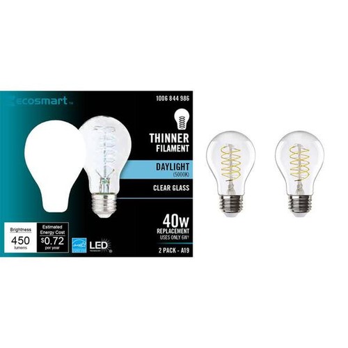 EcoSmart 2-Pack 40-Watt Daylight Bright Glass A19 LED Light Bulbs 4 BULBS TOTAL