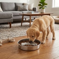 Bone/Paw Slow Feeder Pet Dog Bowl Stainless Steel Non-Slip Puzzle Feeding Dish