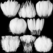 320 PCS White Feathers for Crafting, 8 Styles Assorted Mixed Natural Feathers...