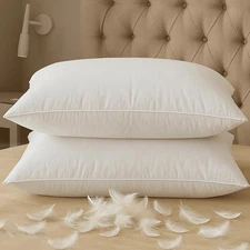 BHZ Down Feather Standard/Queen Pillows Set of 2 Pack, Luxury Hotel Collectio...