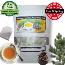 50 Eastern White Pine Needle Tea Bags  Organi...