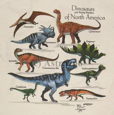 GILDAN DINOSAURS OF NORTH AMERICA--T Rex Reptiles 2 Sided Kids T shirt sizes Sm, Md, Lg
