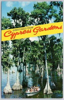 Cypress Gardens Florida Vintage Postcard The Banyan Tree