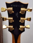 Picture 5 of 20
