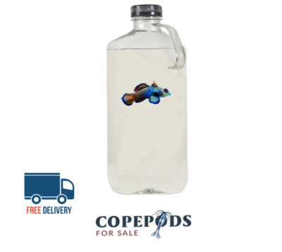 32oz Copepods - Free Fast Shipping - With phyto in bottle, 4 Species!