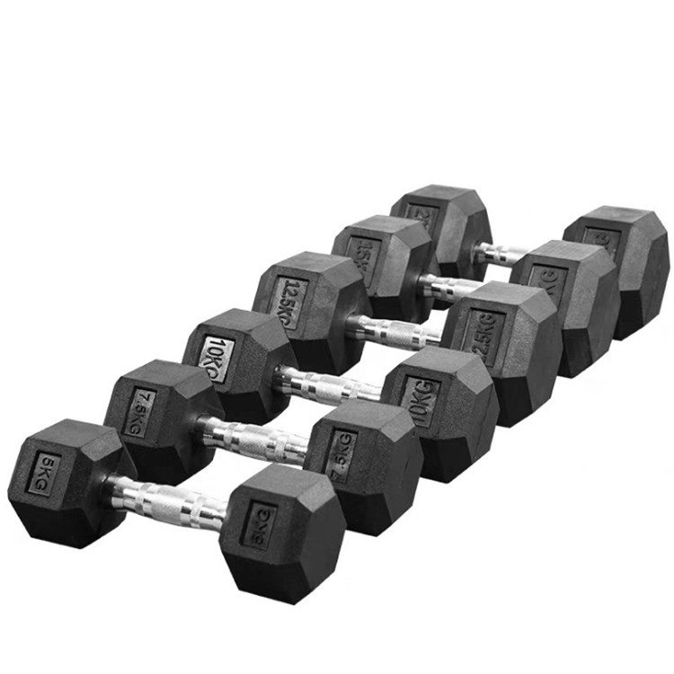 Rubber Hex Dumbbell Pair – Cast Iron Weights Set Anti-Roll Design Home Workout