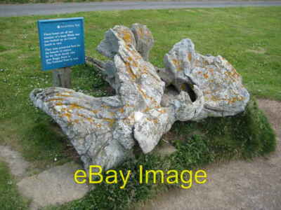 Photo 6x4 Whale bone Croyde Bay 2 c2009