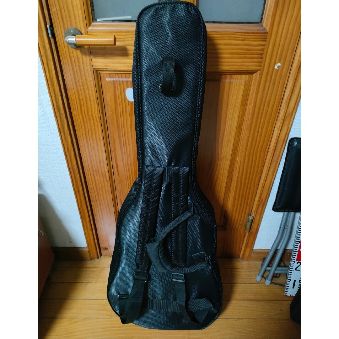 Acoustic Guitar Fender PM-2 AM NE NAT Natural Paramount
