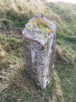 Foto A3 alte Grenzmarkierung nordwestlich von New Road Castleton \/NZ6808 Par c2021