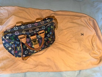 louis vuitton murakami speedy