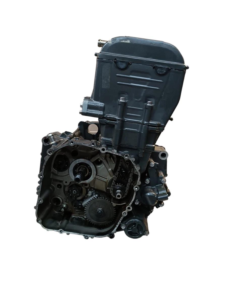 Ktm duke 2024 390 engine
