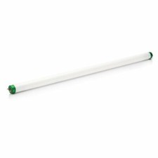 Philips 391086 - F15T8/COOL WHITE PLUS/24 ALTO Straight T8 Fluorescent Tube L...