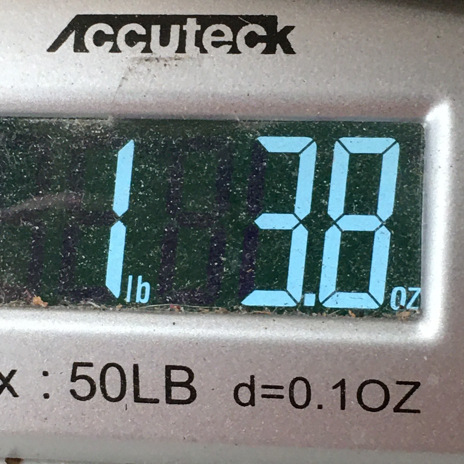 Bild 18 von 19