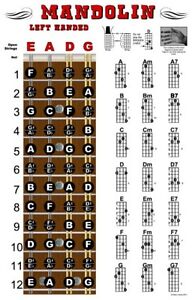 Mandolin Chord Chart