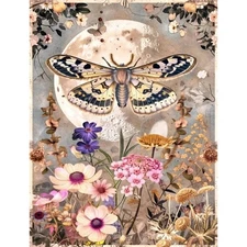 Fancy Moth Floral | A4 Mulberry Rice Paper | Paper for Decoupage