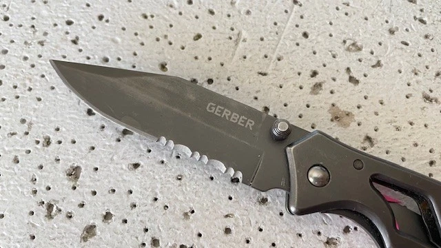 Navaja de bolsillo plegable Gerber 4660618A1 Combo hoja Linerlock acero inoxidable gris Foto 3 de 4