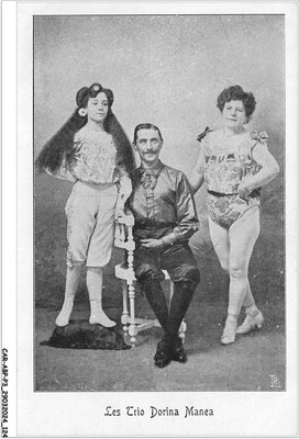 Car Abpp3 0243 Cirque - The Dorina Manea Trio