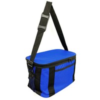 Mini Reise Picknick BüRo KüHltasche 16L Isoliertasche Camping Auto Thermotasche