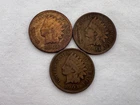 (3) 1903 U.S. Indian Head Pennies OC-20