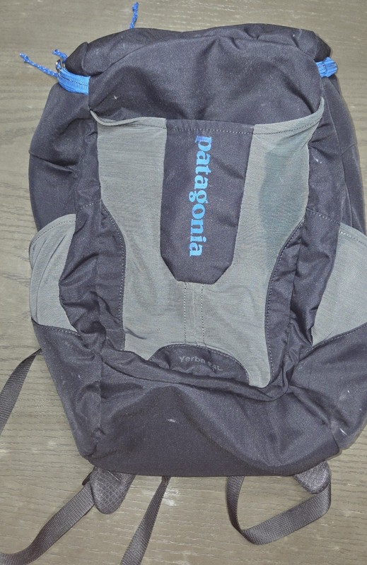 Patagonia Backpack