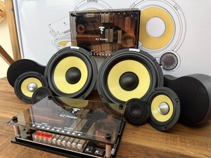 Focal 165v30 | eBay