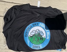Official 2003 Divided Sky Fun (d) Run VT  Vermont Womans Large Phish Shirt