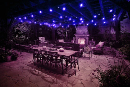 2PK A19 LED Transparent Blue Light Bulbs, 4.5W, E26 Medium Base, 55 Lumens - Image 3 of 3