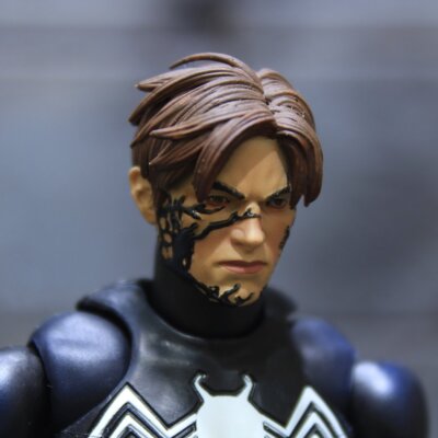 1/12 Custom Marvel Universe Spider Man Venom Peter Parker Unmasked Head ...