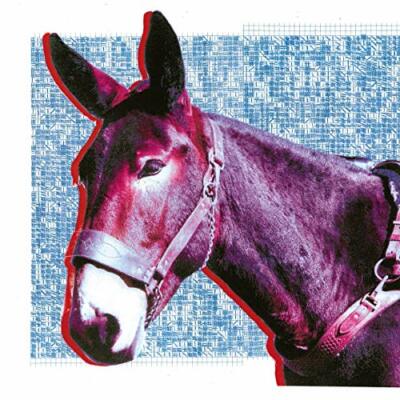 PROTOMARTYR - ULTIMATE SUCCESS TODAY [CD]