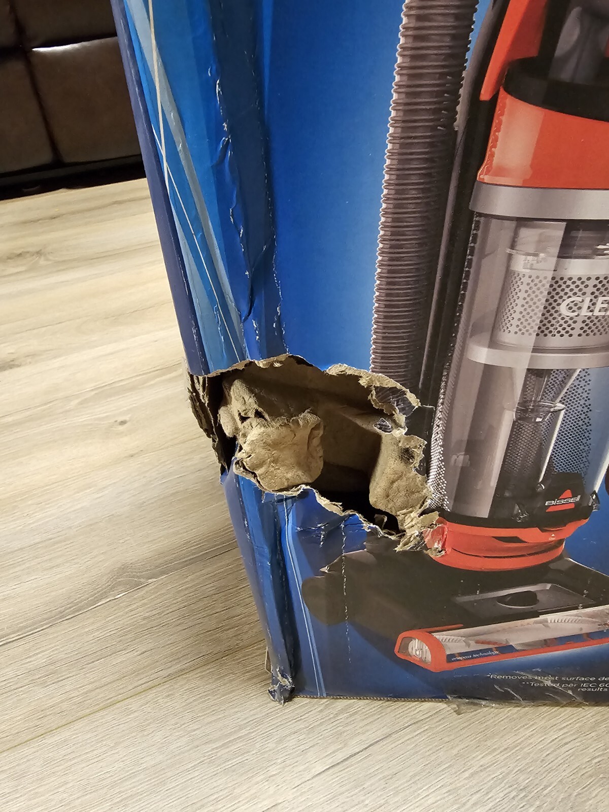 BISSELL CleanView Bagless Upright Vacuum Cleaner Orange/Black (2488