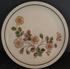 MARKS & SPENCER AUTUMN LEAVES BREAKFAST / LUNCH / DESSERT PLATE 8½" (22CM) 9 AVA