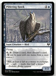 Pilfering Hawk 71/285 Kaldheim Common MTG