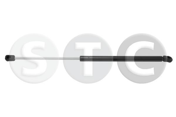 STC Heckklappen DäMpfer Gasfeder Kofferraum T446264 FüR Audi A2 8Z0 TDI FSI-image