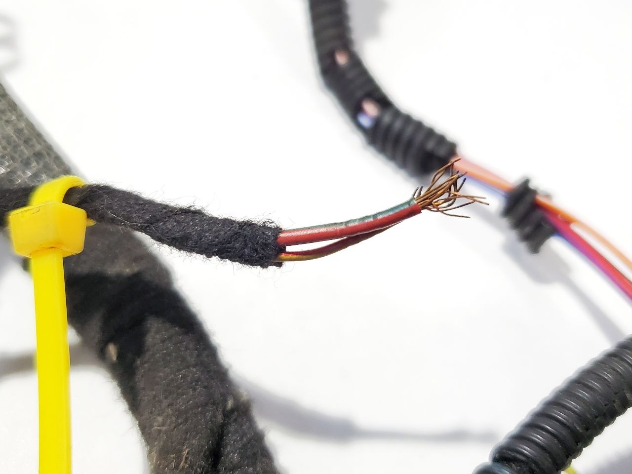Bentley Continental GT 2007 Wiring harness
