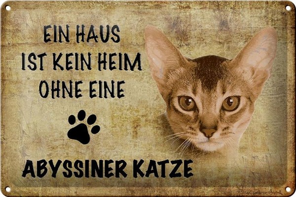 Blechschild Spruch 30X20 Cm Abyssiner Katze Ohne Kein Heim Deko Schild Tin Sign-image